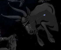 Künstlerische Gestaltung des Sternbildes (aus Stellarium)