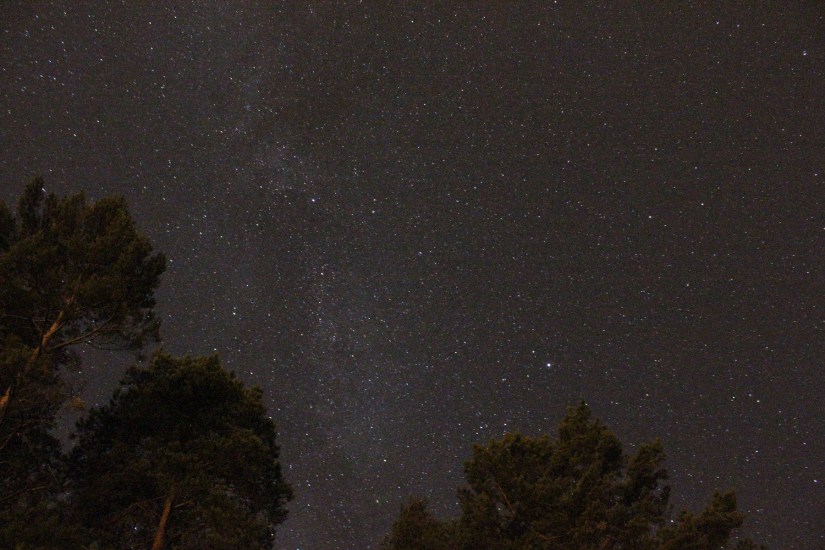 Milchstrasse zwischen den Bäumen