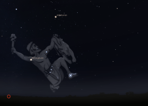 Stellarium Abbildung vom Sternbild Orion mit Rigel und Beteigeuze