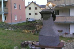 2 Katzen wärmen sich 2007