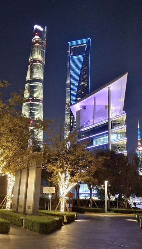 Abendaufnahme
weiss und blau leuchtender Shanghai Tower und Shanghai World Financial Center im Hintergrund
vorne mit Lichterketten geschmückte Bäume