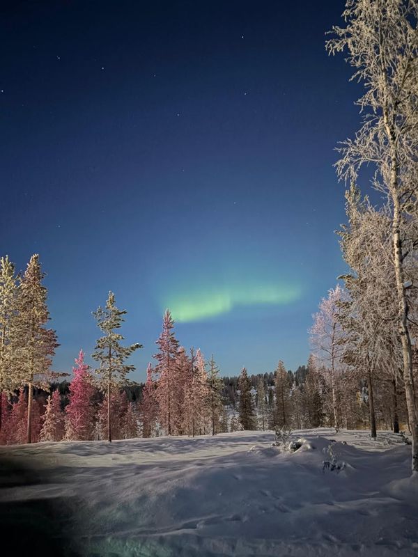 Schneelandschaft mit farbigen Bäumen und grünem Polarlicht 
